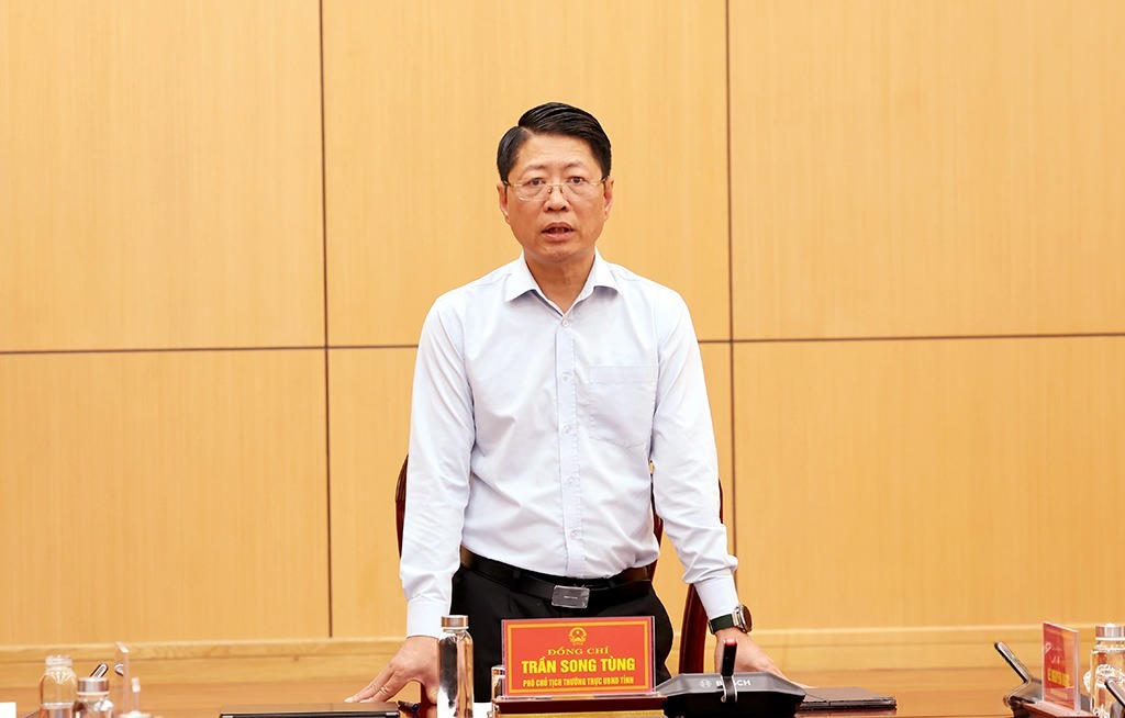 Ông Trần Song Tùng - Phó Chủ tịch Thường trực UBND tỉnh Ninh Bình, Trưởng Ban Tổ chức Lễ hội Hoa Lư năm 2026 phát biểu tại hội nghị. (Ảnh: Phan Hiếu)