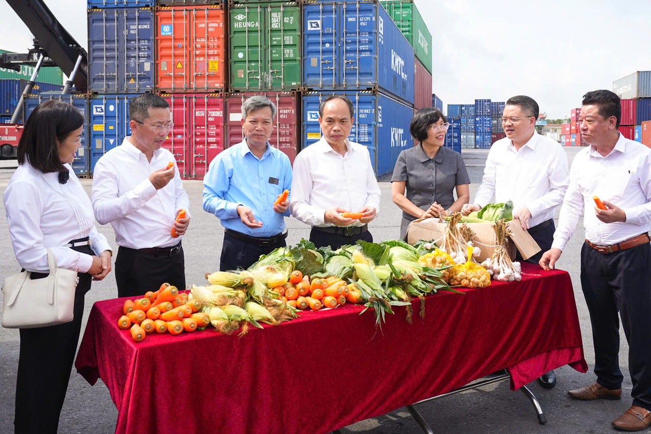 Các đại biểu&nbsp;tham quan các sản phẩm nông sản.