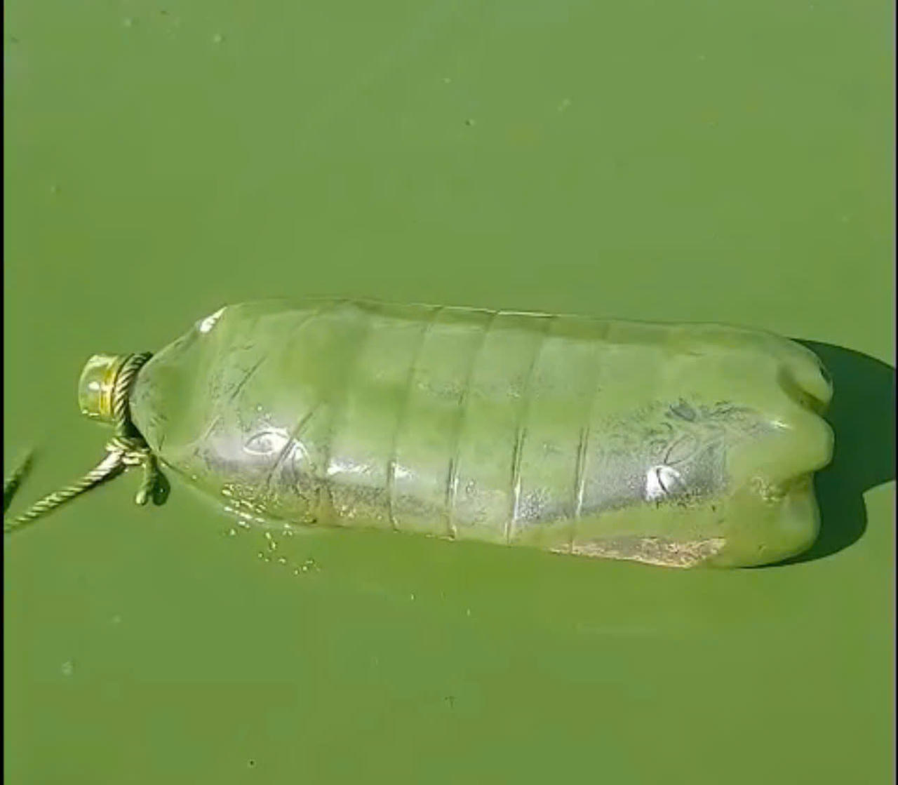 Lào Cai yêu cầu xử lý dứt điểm vi phạm, ô nhiễm tại hồ Séo Mý Tỷ trước 30/5/2026