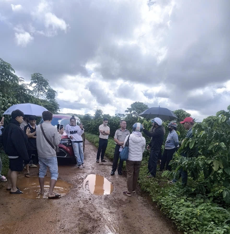 Chấp hành viên xác minh điều kiện thi hành án