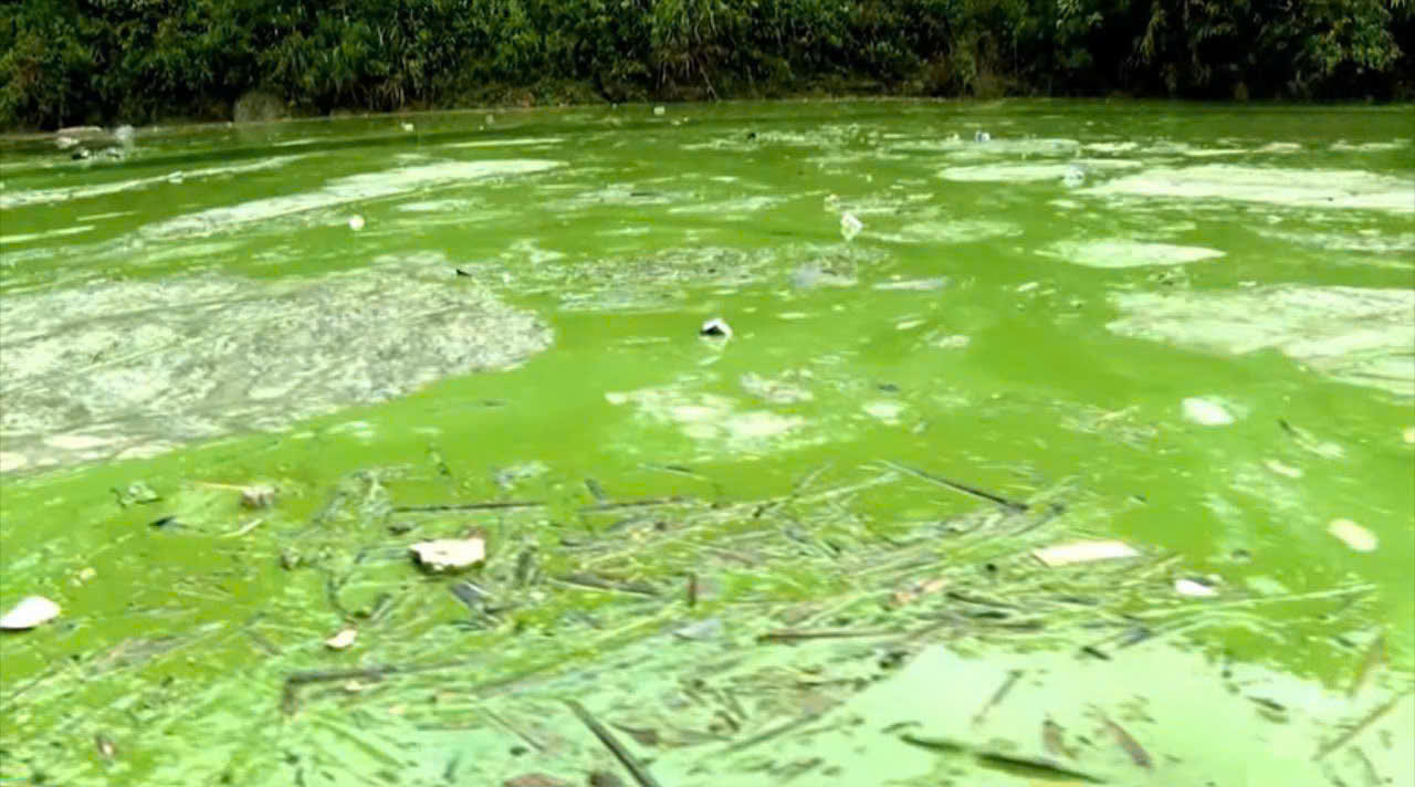 Hồ Séo Mý tỷ bị ô nhiễm nghiêm trọng do hoạt động nuôi cá lồng trái phép.