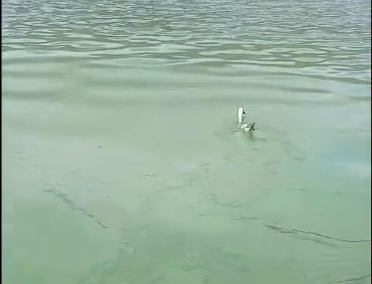 Lào Cai yêu cầu xử lý dứt điểm vi phạm, ô nhiễm tại hồ Séo Mý Tỷ trước 30/5/2026