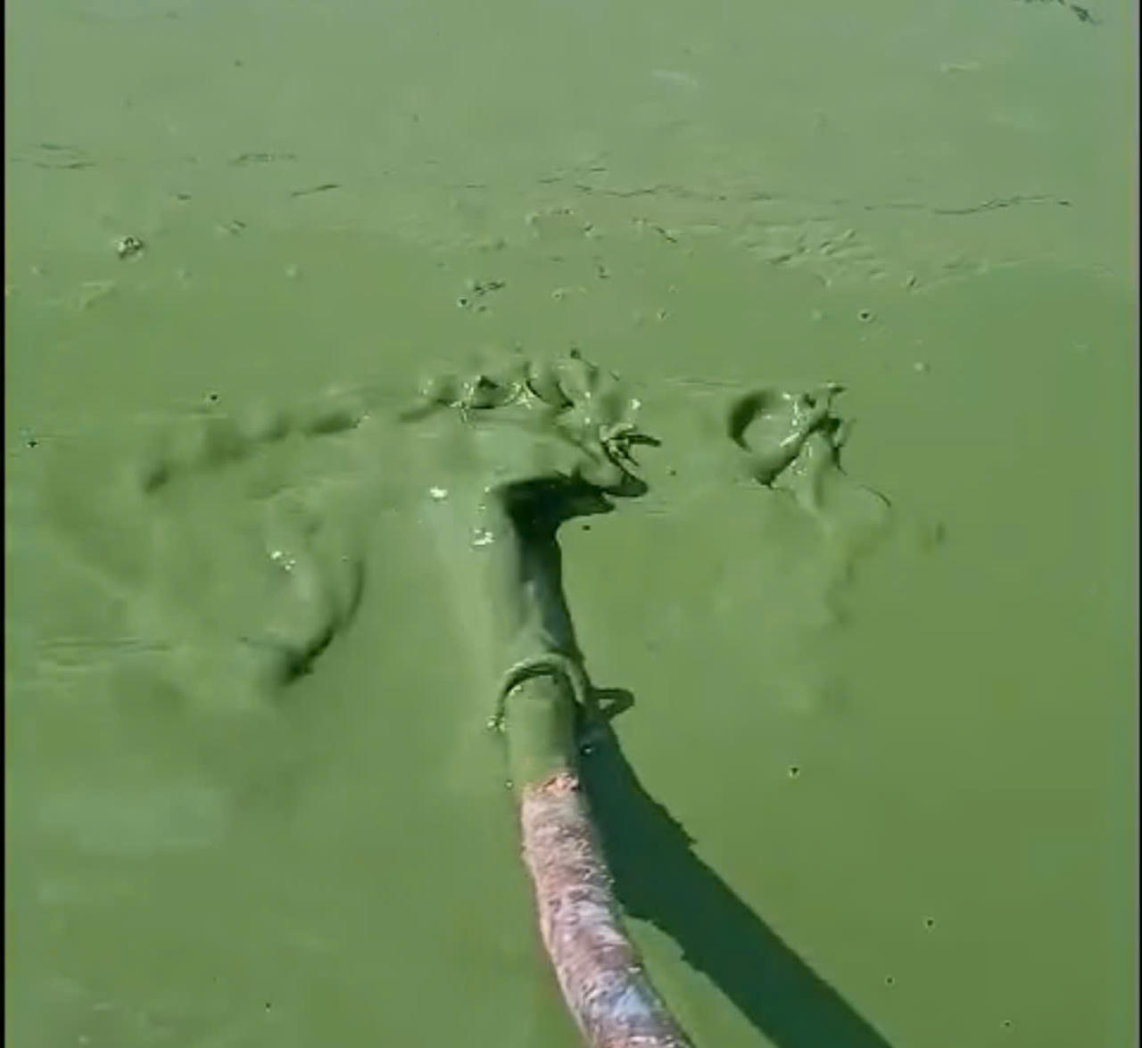 Lào Cai yêu cầu xử lý dứt điểm vi phạm, ô nhiễm tại hồ Séo Mý Tỷ trước 30/5/2026