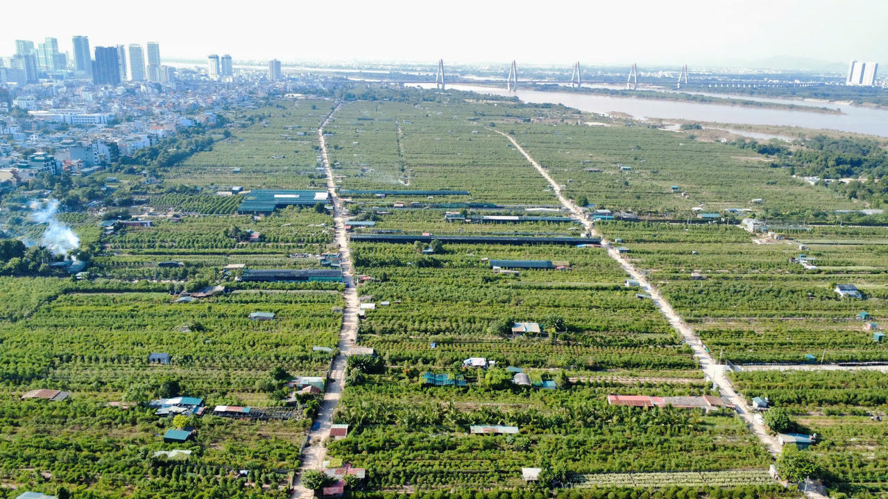 Toàn cảnh khu vực bãi sông trên địa bàn phường Hồng Hà – nơi còn tồn tại nhiều công trình xây dựng tạm, sử dụng đất chưa đúng mục đích.