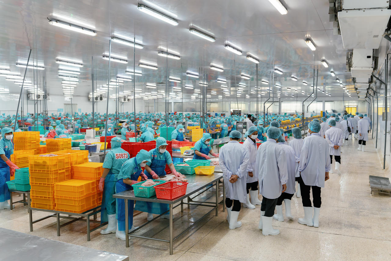 Bí thư Tỉnh ủy Thanh Hóa thăm khu vực sản xuất của Tập đoàn Sao Mai trong khuôn khổ chuyến làm việc tại An Giang.