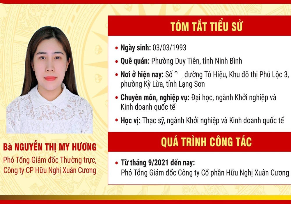 Nữ đại biểu HĐND tỉnh Lạng Sơn trẻ nhất, bà Nguyễn Thị My Hương.