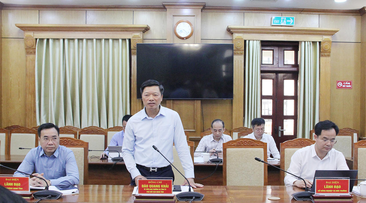 Ông Đào Quang Khải - Phó Chủ tịch UBND tỉnh Bắc Ninh phát biểu tại hội nghị.