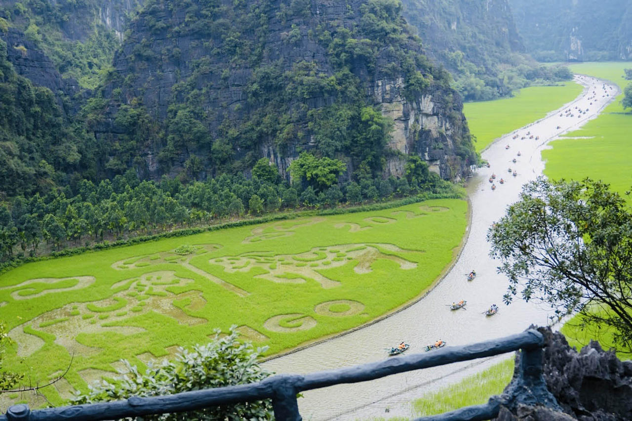 Từ trên cao, hình ảnh hai chú ngựa được tạo hình từ lúa đẹp như một bức tranh nổi bật trên sông Ngô Đồng. (Ảnh: Bích Ngọc)
