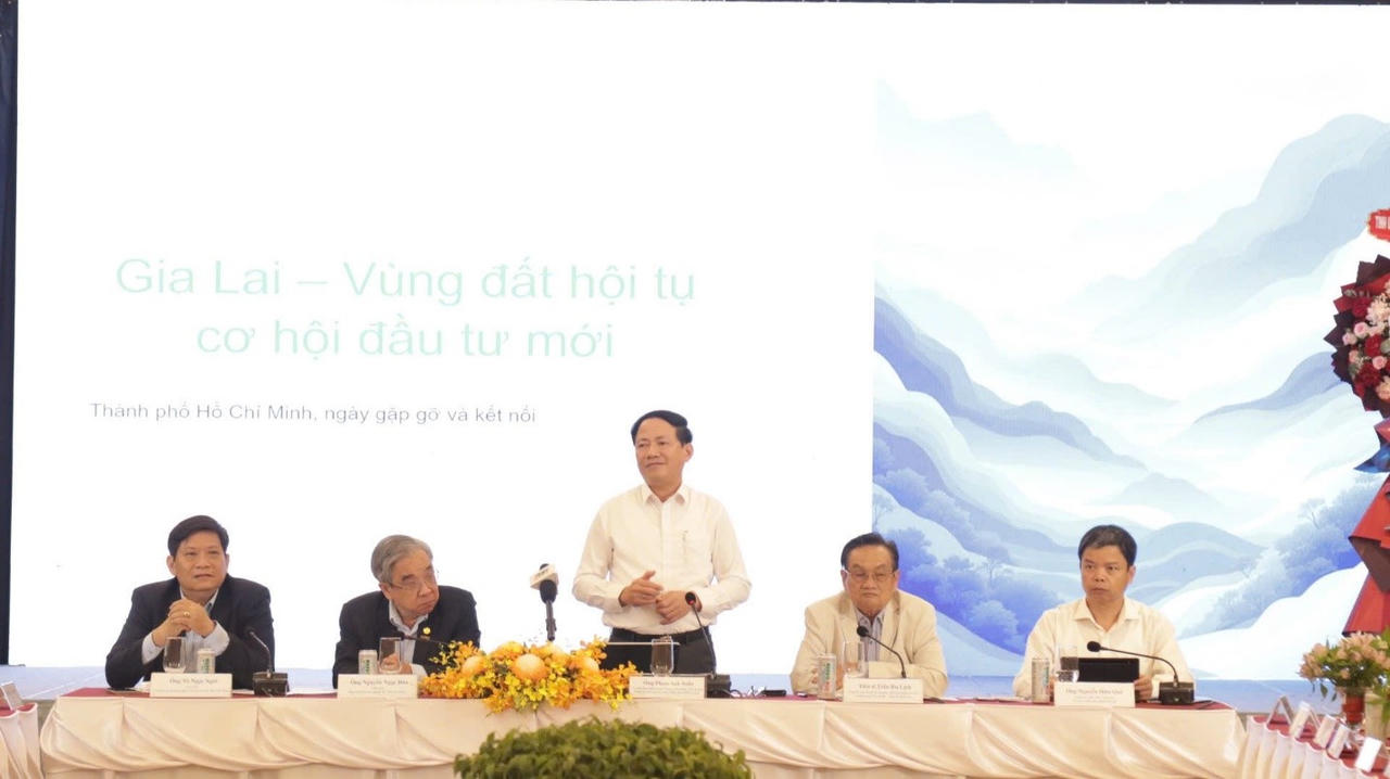 Ông Phạm Anh Tuấn - Ủy viên Trung ương Đảng, Phó Bí thư Tỉnh ủy, Chủ tịch UBND tỉnh Gia Lai phát biểu