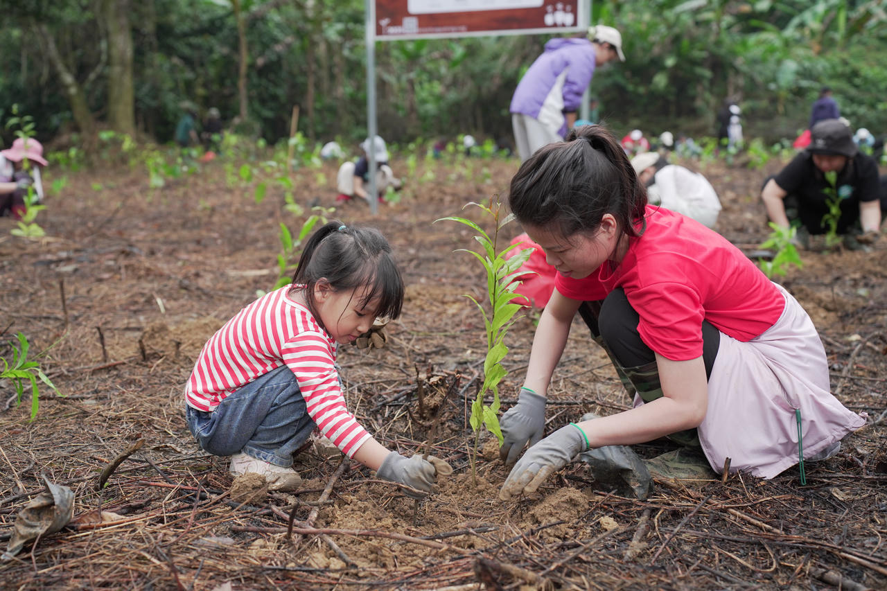 Hưởng ứng Ngày Thế giới Trồng cây (21/3) và “Tết trồng cây mừng Xuân Bính Ngọ”, Trung tâm Bảo tồn Thiên nhiên Gaia đã khởi động chuỗi hoạt động trồng 17.000 cây gỗ lớn.