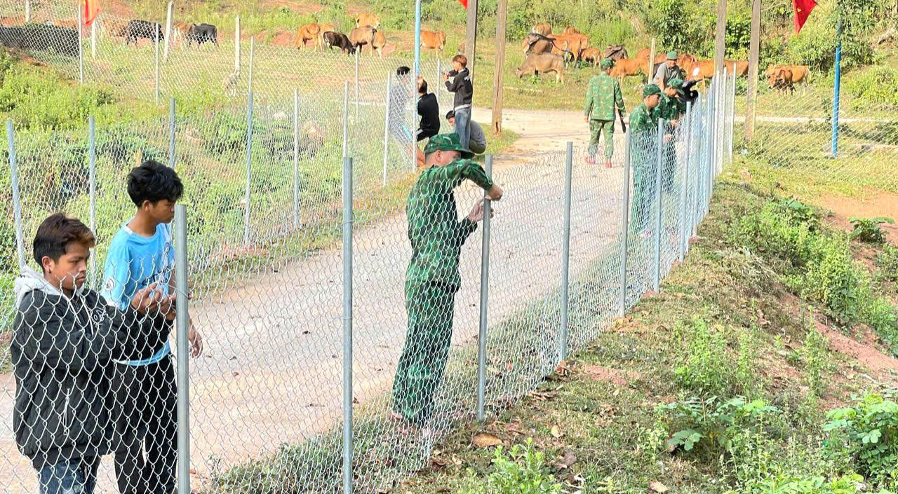 Chi đoàn Đồn Biên phòng Cồn Roàng tổ chức xây dựng hơn 200m hàng rào xung quanh bản Cốc và.