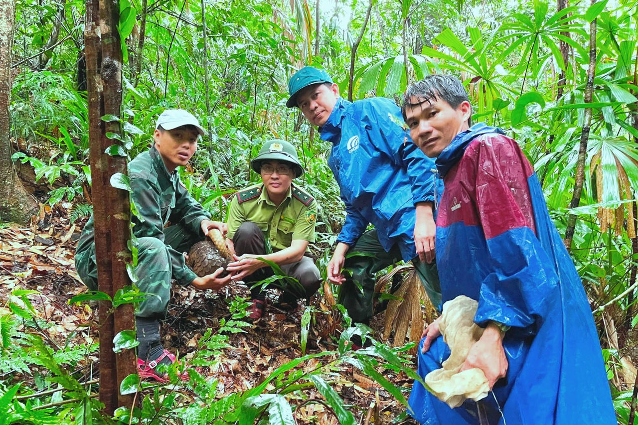 Thả động vật hoang dã về môi trường tự nhiên được Ban quản lý VQG Phong Nha - Kẻ Bàng thực hiện thường xuyên.&nbsp;Ảnh: V. L