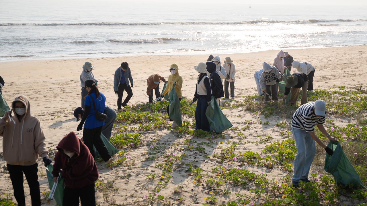 Tham gia dọn dẹp bãi biển để hưởng ứng Ngày quốc tế Không rác