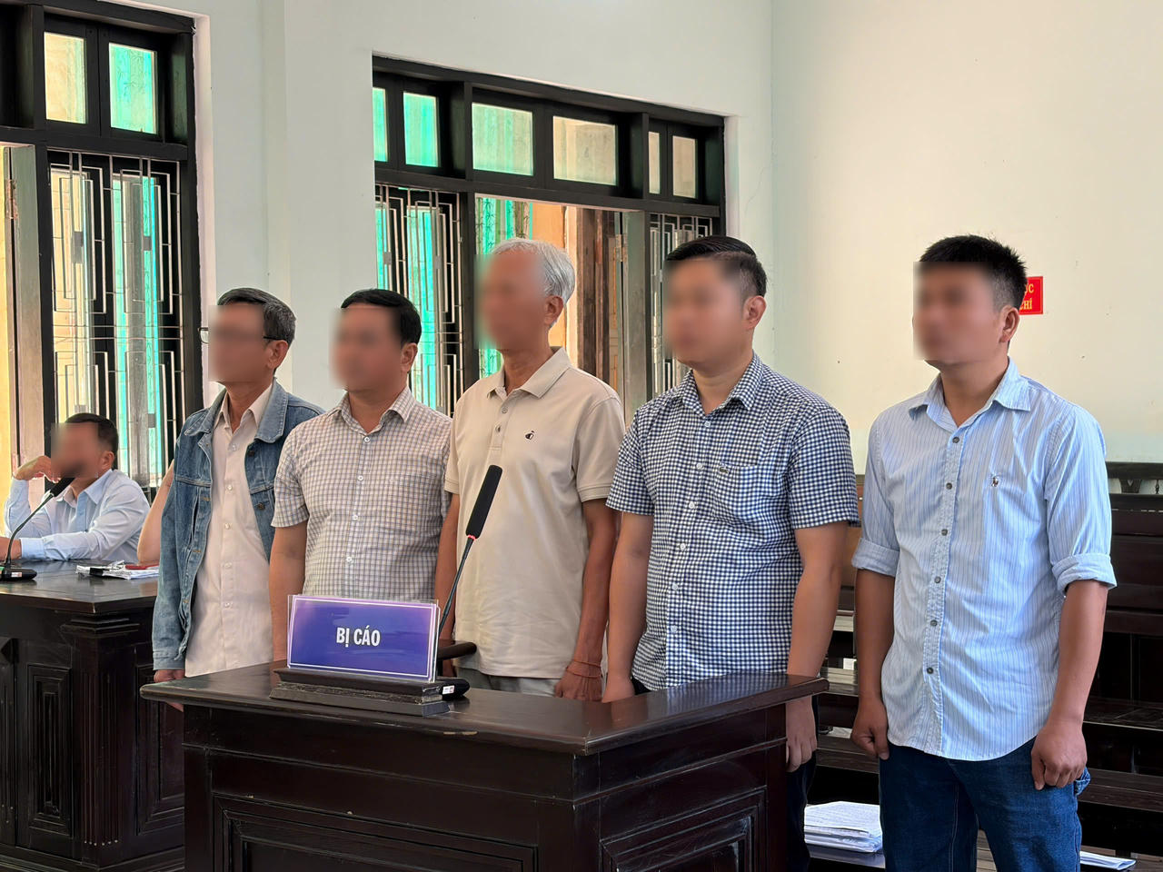 Sai phạm trong tận thu rừng cháy, 3 giám đốc hầu tòa