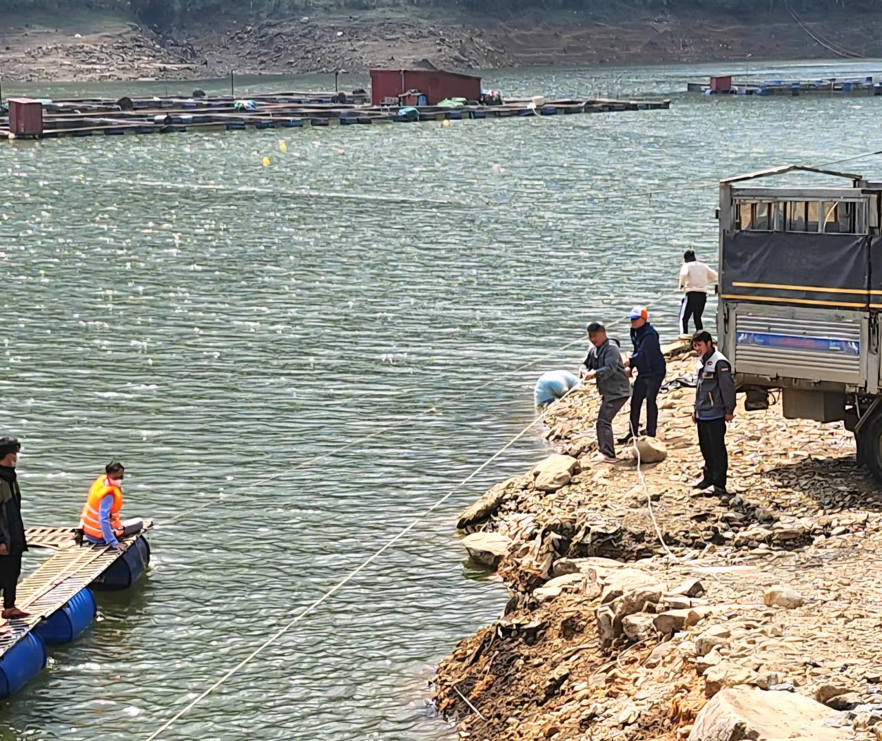 Ghi nhận tại hiện trường, nhiều chủ lồng cá đã chủ động thu hoạch cá, di chuyển vật dụng và tiến hành tháo dỡ khung bè, phao nổi theo yêu cầu của chính quyền địa phương.