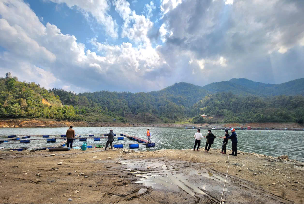 Theo thống kê, hiện có khoảng 20 tổ chức, cá nhân nuôi cá nước lạnh trên hồ Séo Mý Tỷ với hơn 400 lồng bè, chủ yếu là nuôi cá tầm.