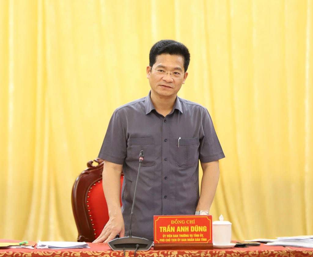 Phó Chủ tịch UBND tỉnh Ninh Bình Trần Anh Dũng phát biểu tại buổi làm việc. (Ảnh: Trần Hồng Minh)