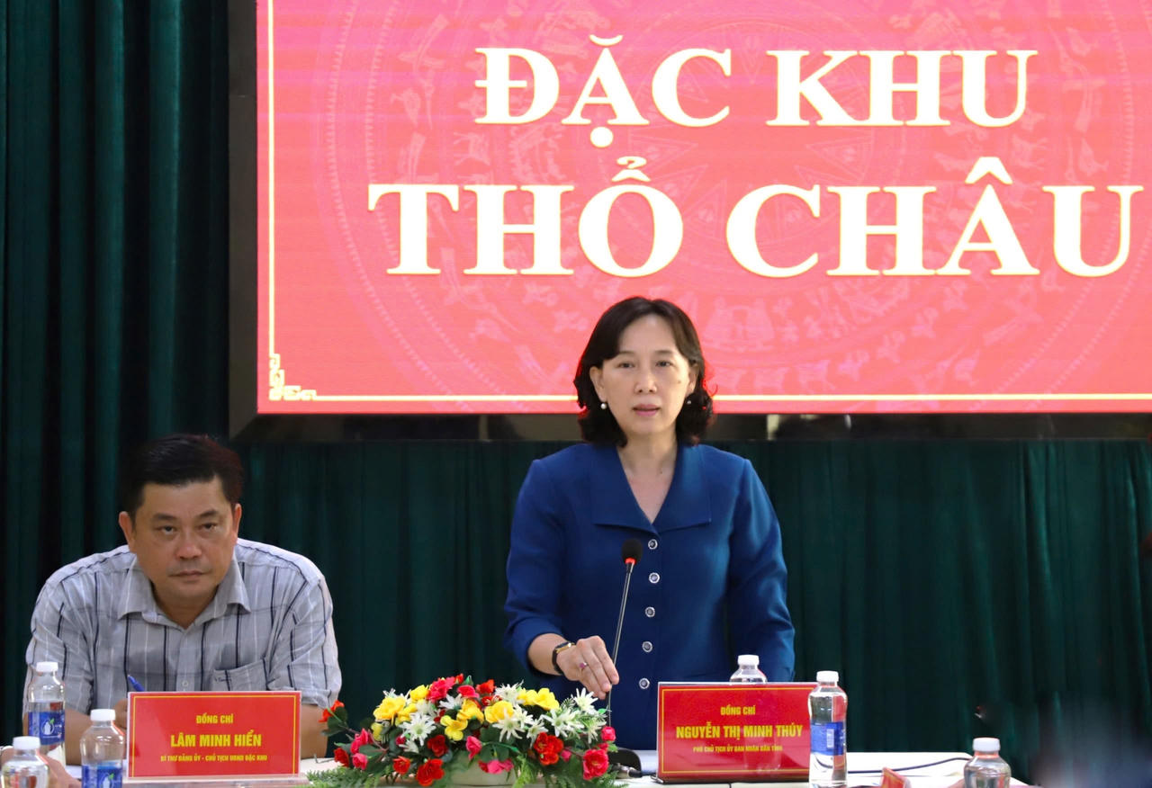 Phó Chủ tịch UBND tỉnh An Giang Nguyễn Thị Minh Thúy phát biểu kết luận tại buổi làm việc.