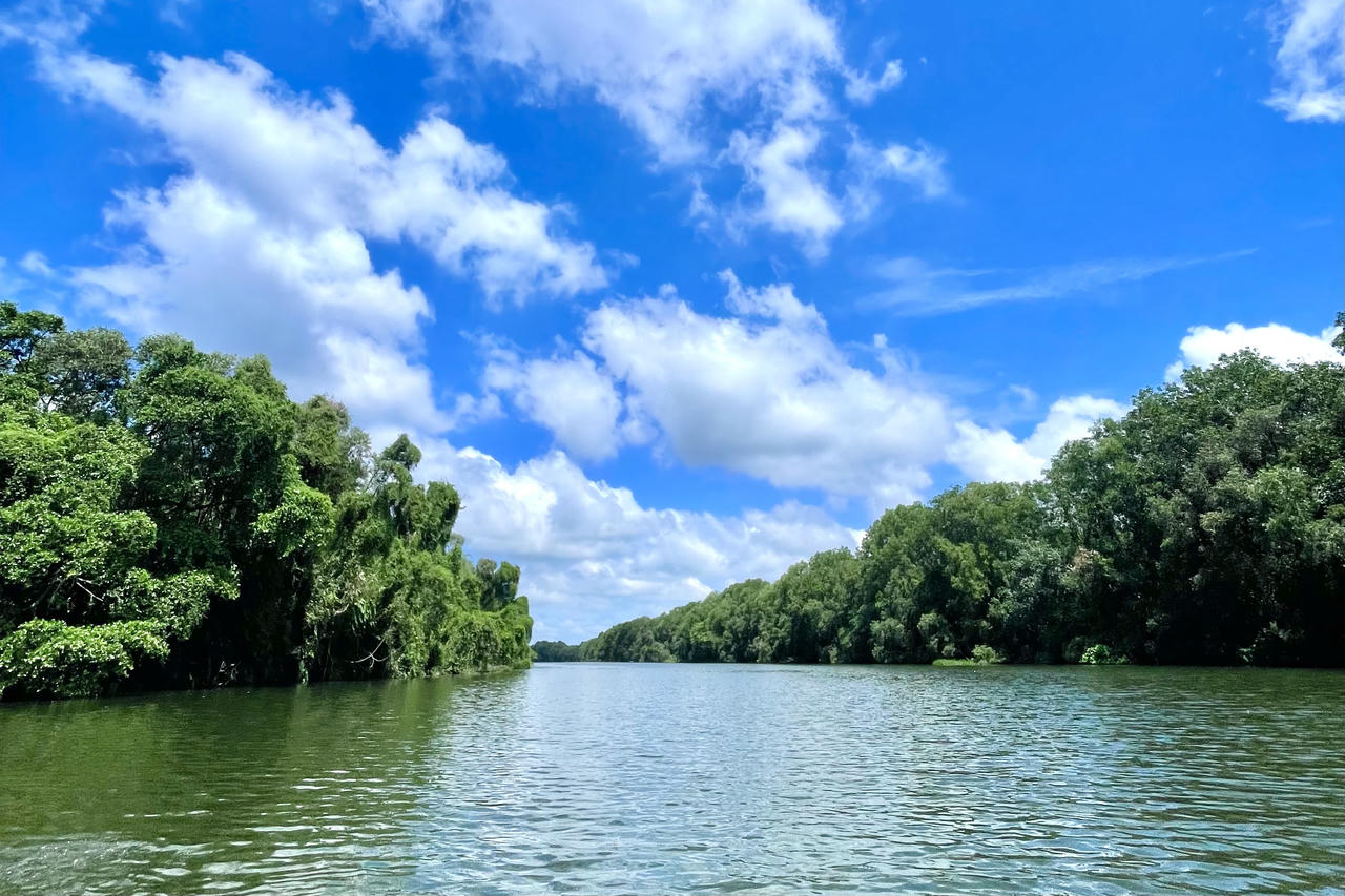 Kinh tế tỉnh Đồng Tháp quý I/2026 khởi sắc toàn diện