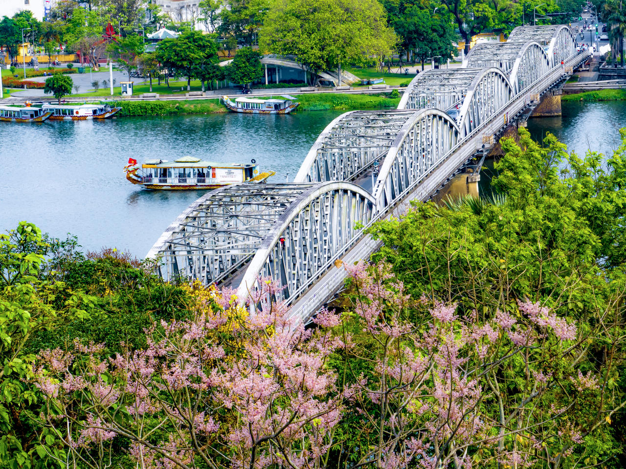 Sắc ngô đồng dịu nhẹ càng tôn lên vẻ đẹp thanh thoát, duyên dáng của cầu Trường Tiền bên sông Hương thơ mộng.