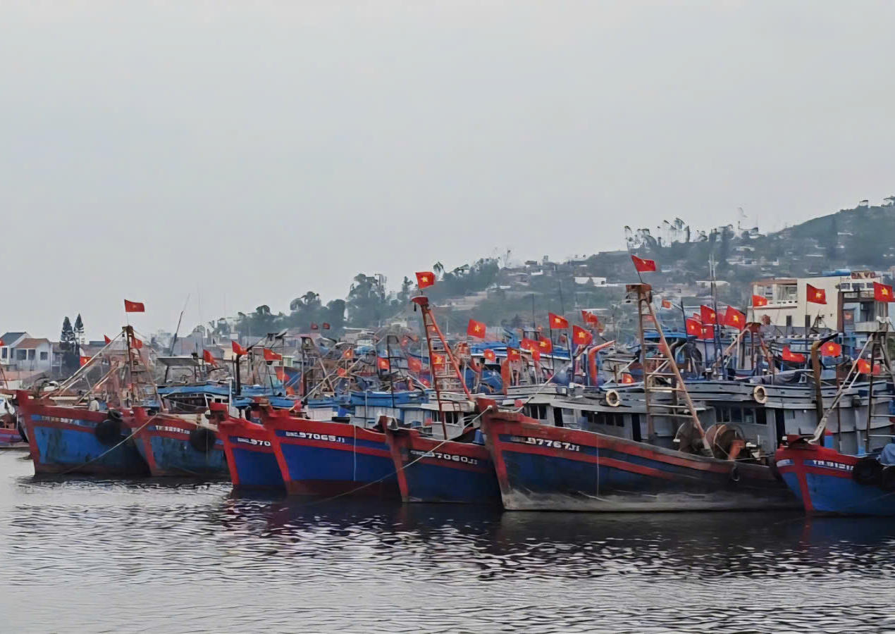 Một góc tại cảng cá Lạch Bạng (Thanh Hóa).