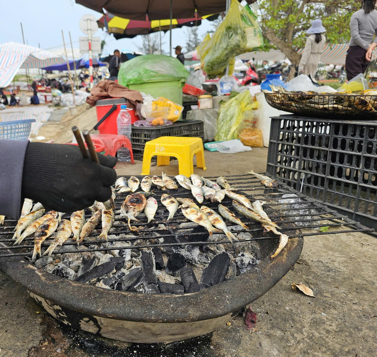 Cá trích vừa đánh bắt lên bờ được người dân nướng với than hồng