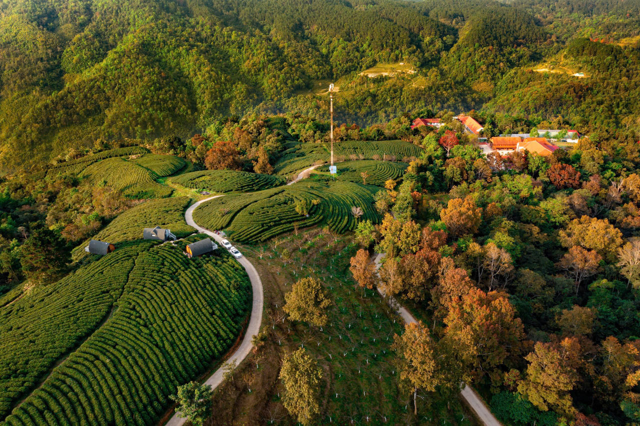 Đỉnh Phia Oắc nhìn từ trên cao như một bức tranh. (Ảnh: Lê Hanh)