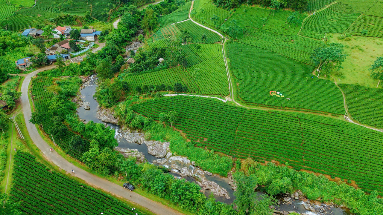 Những vùng chè tại Thái Nguyên đang trở thành những điểm du lịch thu hút du khách đến thăm quan. (Ảnh: Lê Hanh)