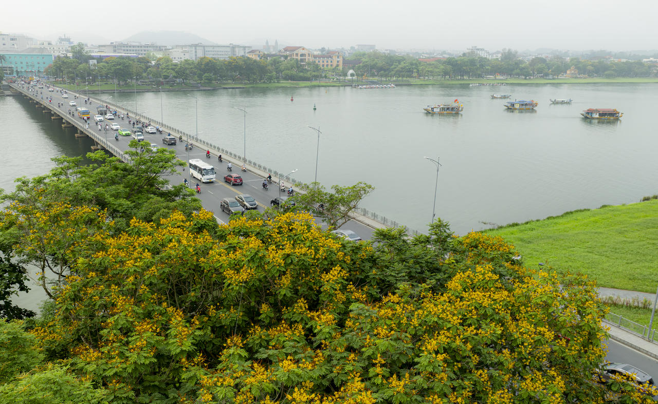 Thuyền lặng lẽ xuôi dòng Hương dưới cầu Phú Xuân, giữa sắc hoa vàng và những vòm cây xanh – khoảnh khắc bình yên, trầm mặc rất riêng của Huế
