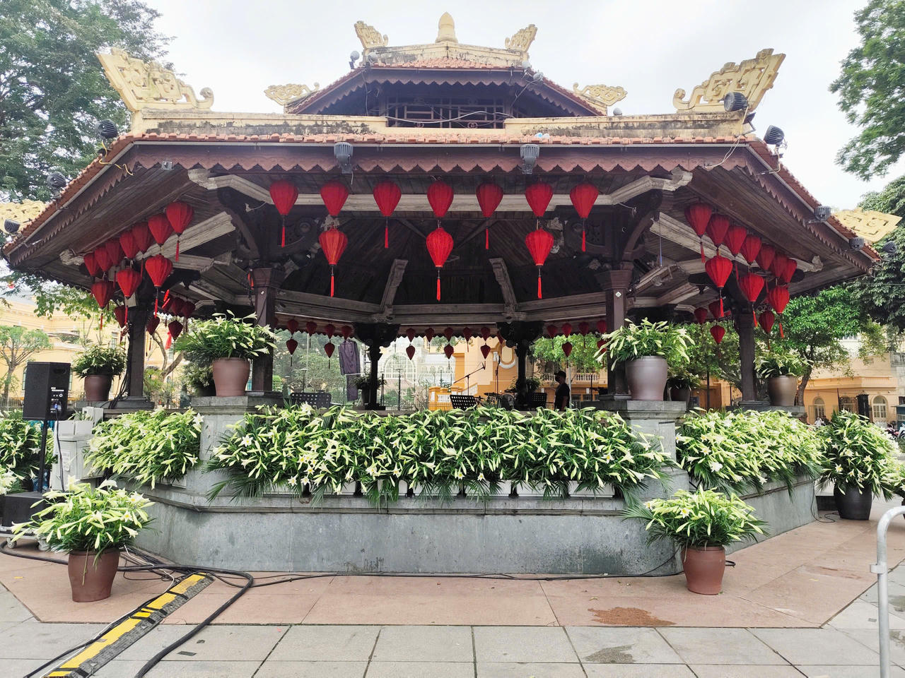 Hàng nghìn bông hoa loa kèn 'đánh thức' không gian Nhà Bát Giác trước Live Concert 'Hà Nội bình yên'