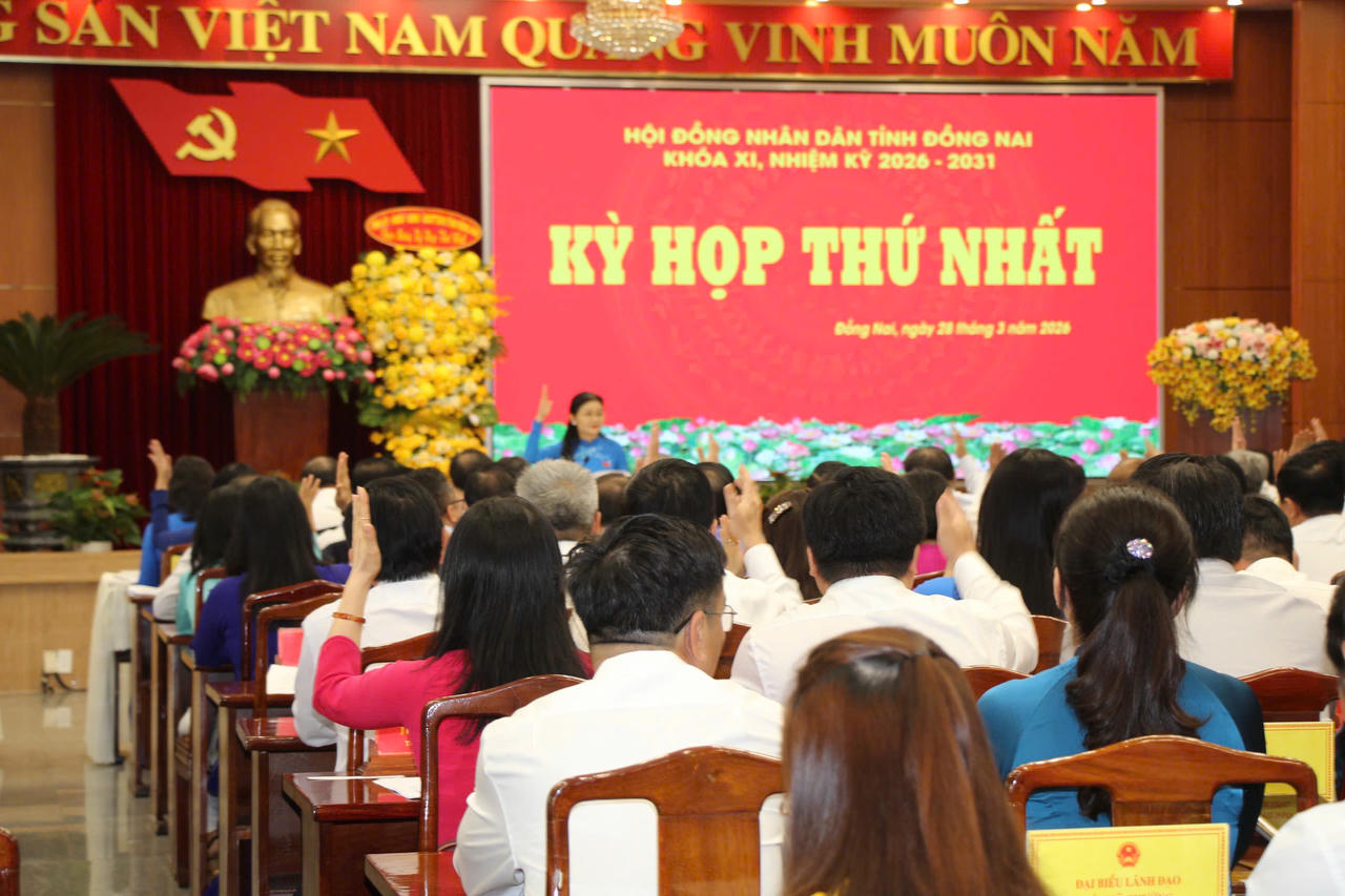 Các đại biểu biểu quyết thông qua đề án đô thị loại I, tán thành chủ trương thành lập thành phố trực thuộc Trung ương.