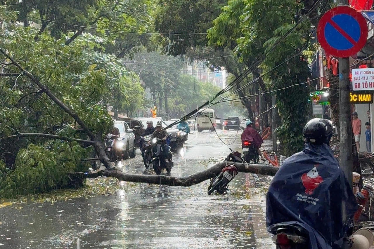 Cây xanh bật gốc trong mưa, đè trúng người đi xe máy ở Hà Nội