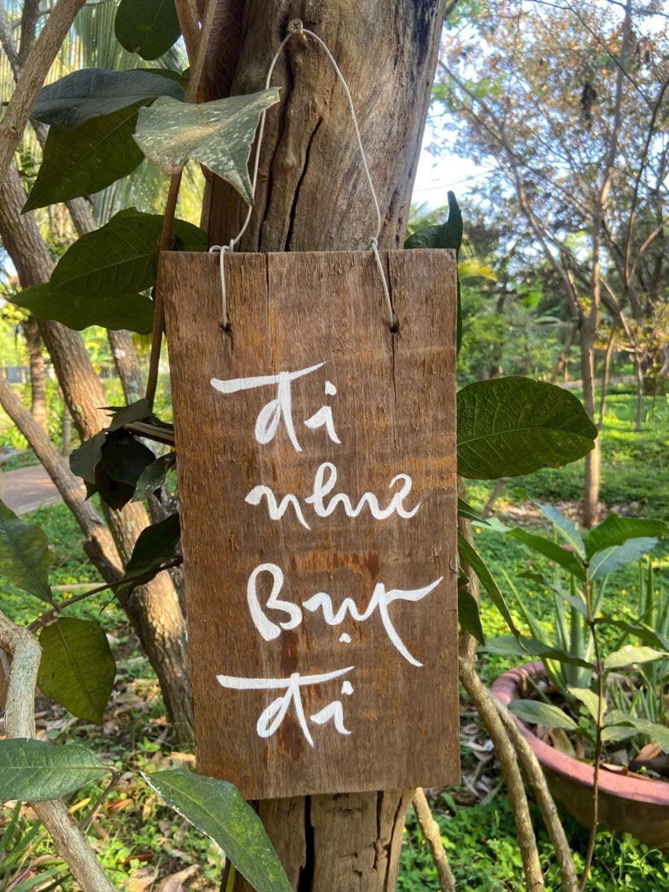 Đi như Bụt đi 1