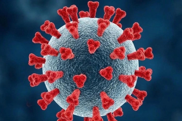 Xuất hiện biến thể SARS-CoV-2 có dấu hiệu 'né' miễn dịch, Bộ Y tế nêu khuyến cáo