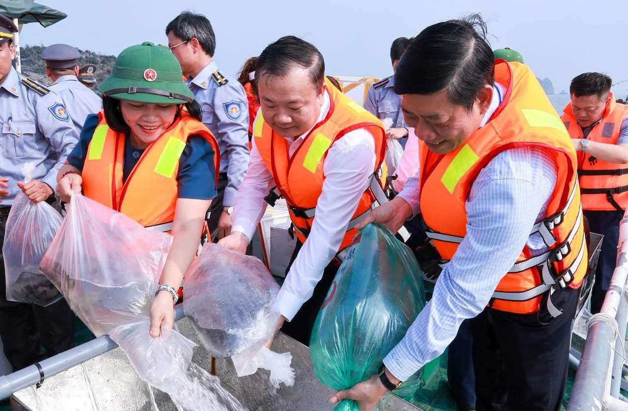 Nằm trong chuỗi hoạt động hưởng ứng, đặc khu Cát Hải tổ chức thả hơn 1,3 triệu con giống tái tạo nguồn lợi thuỷ sản.