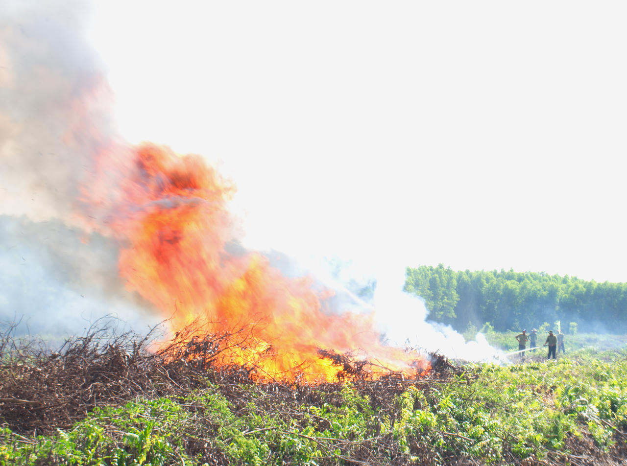 Tình huống cháy giả định tại khoảnh 1, tiểu khu 043, Liên tiểu khu U Minh I.