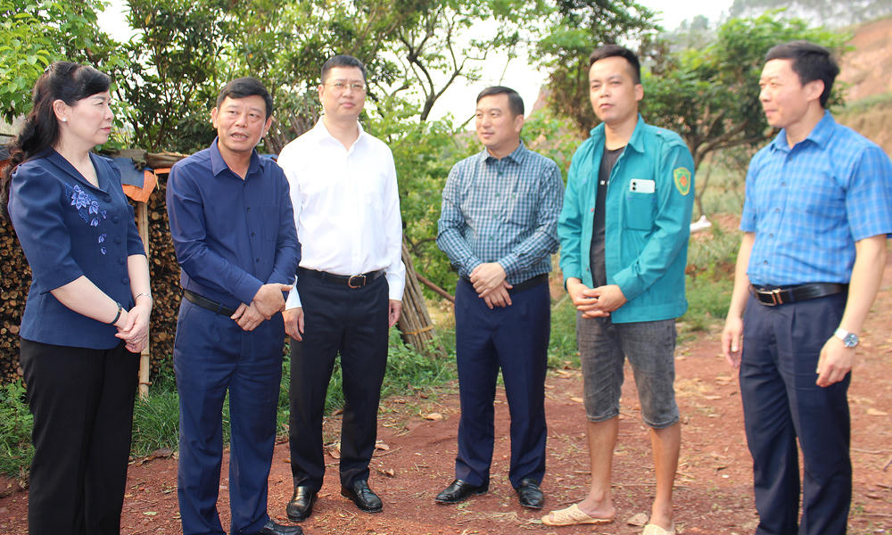 Đoàn công tác của tỉnh thăm, động viên Hợp tác xã Gà núi Hương Sơn.