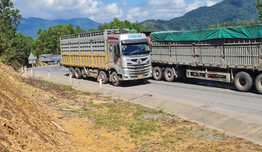 Những xe tải trọng lớn chở than quặng, keo tràm xuất phát từ đường Hồ Chí Minh đến QL49, nối đuôi nhau về xuôi.