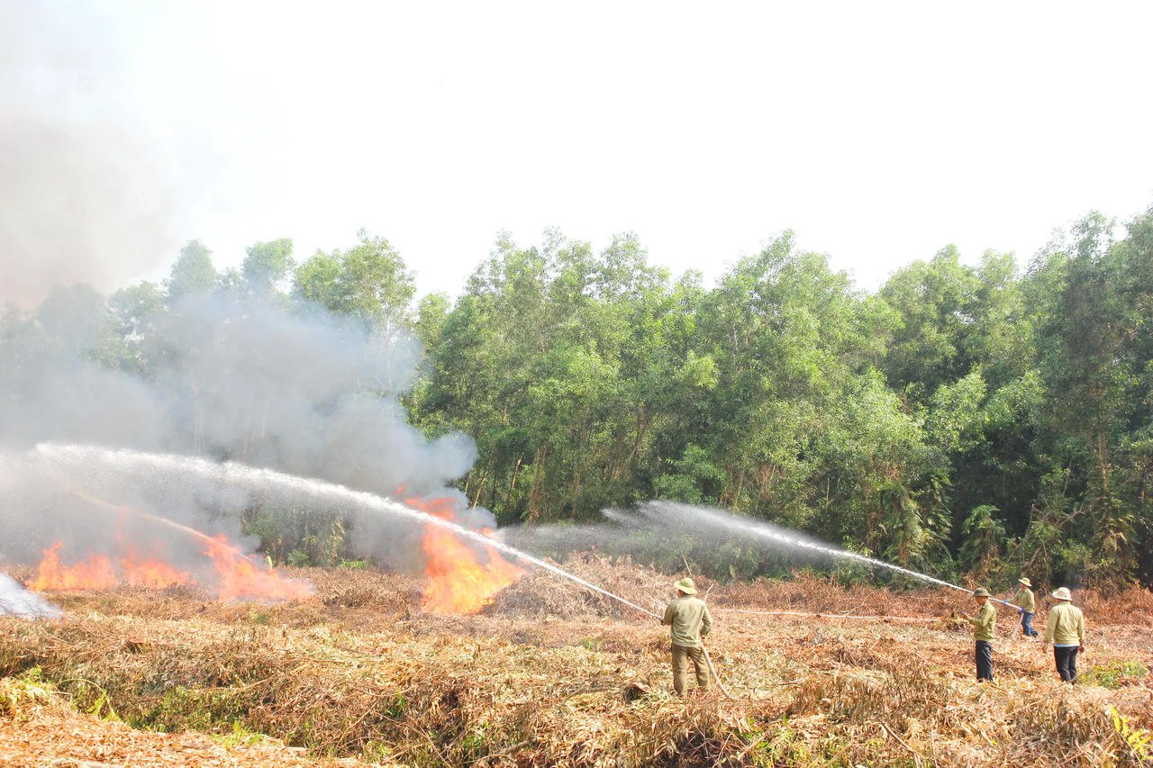 Lực lượng Công ty TNHH MTV Lâm nghiệp U Minh Hạ khẩn trương triển khai dập lửa tại khoảnh 1, tiểu khu 043, Liên tiểu khu U Minh I.