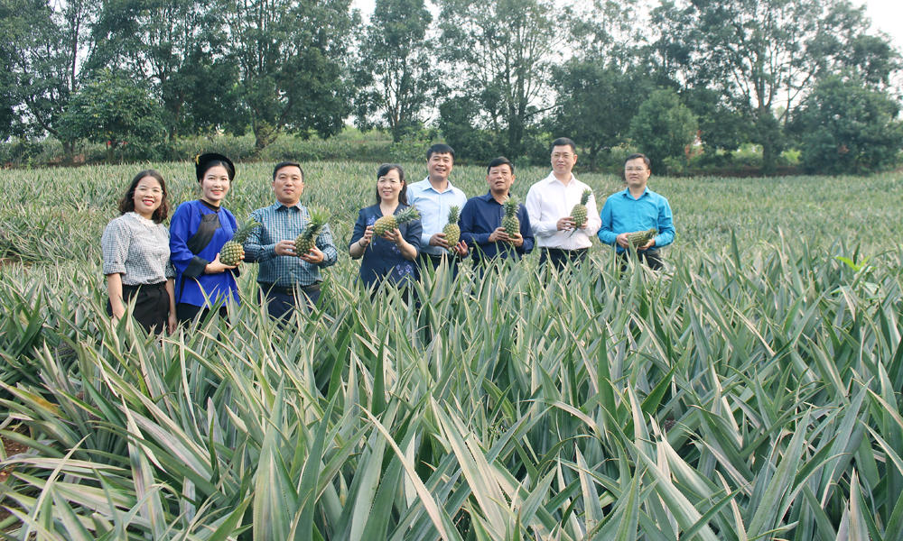 Bắc Ninh: Nhân rộng mô hình OCOP, thúc đẩy kinh tế nông nghiệp từ thực tiễn cơ sở