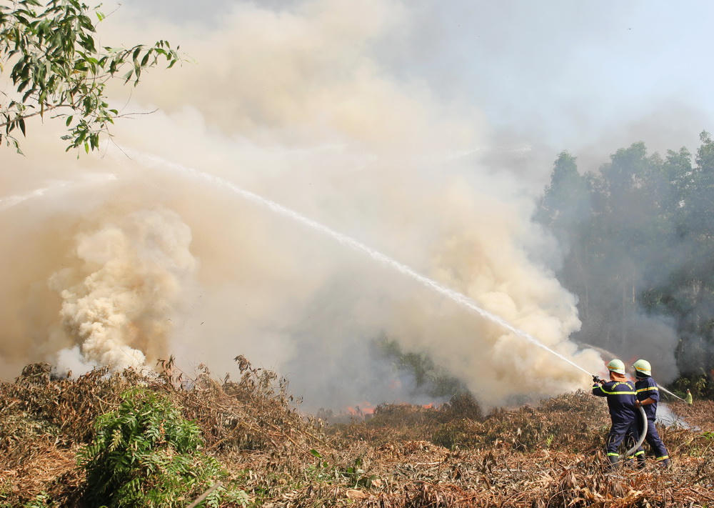 Thực tập phương án phòng cháy chữa cháy rừng mùa khô tại rừng U Minh Hạ