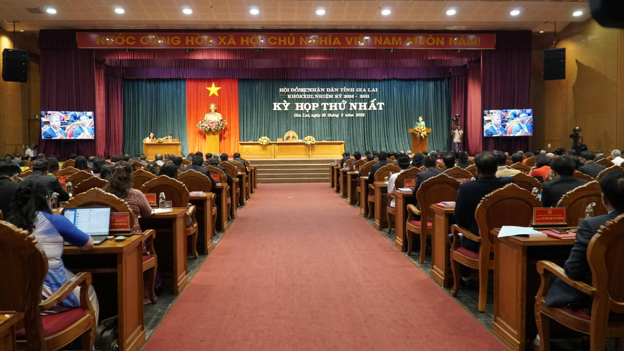 Gia Lai kiện toàn bộ máy lãnh đạo HĐND, UBND nhiệm kỳ mới 2026–2031