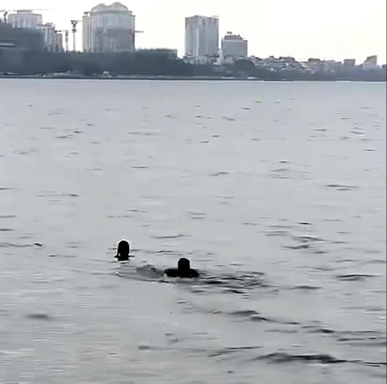 Tổ tuần tra Công an phường Tây Hồ bơi ra tiếp cận Đ.V.H, đưa cô gái vào bờ an toàn.