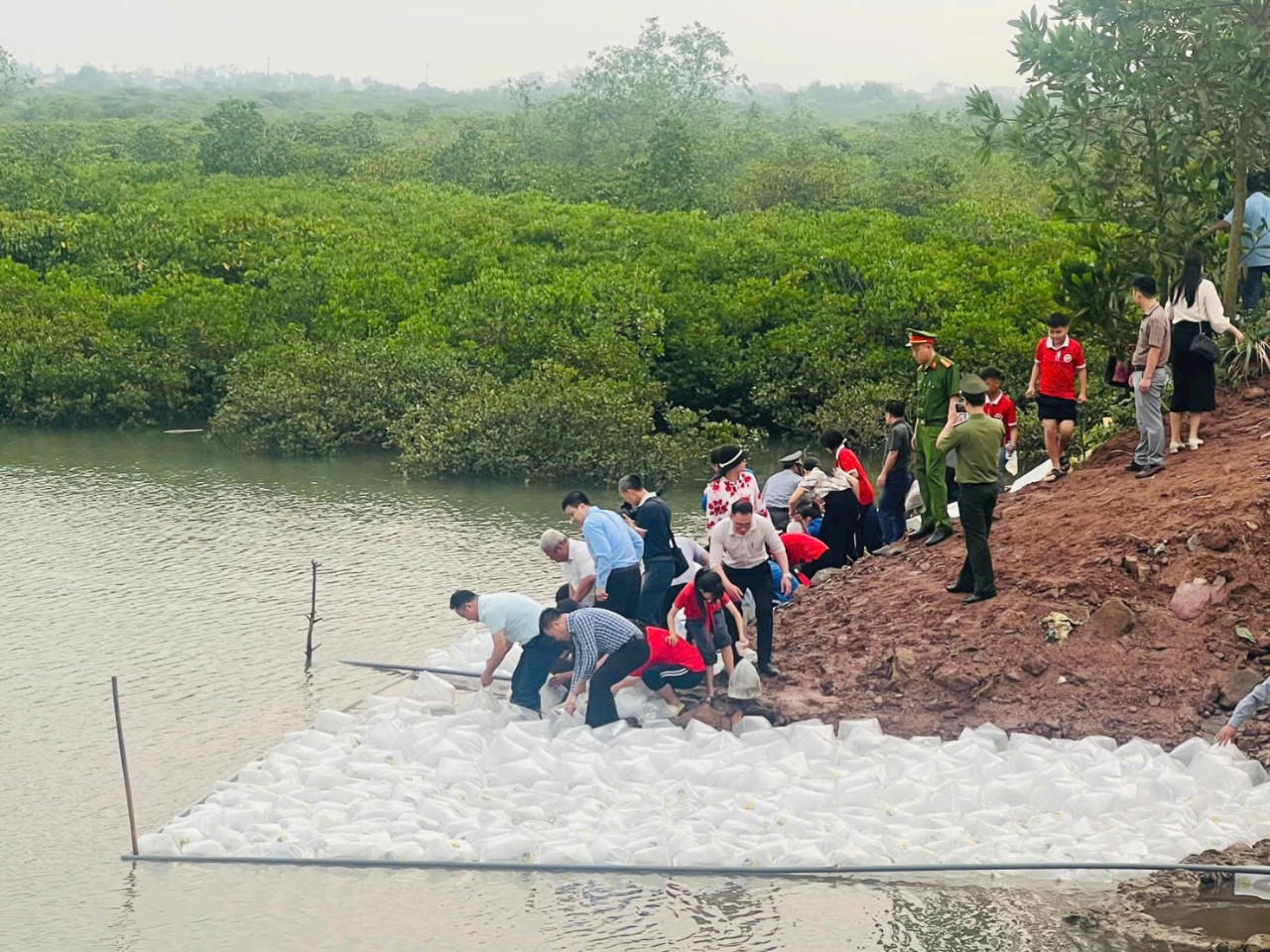 Quảng Ninh: Tích cực hưởng ứng thả con giống tái tạo nguồn lợi thủy sản