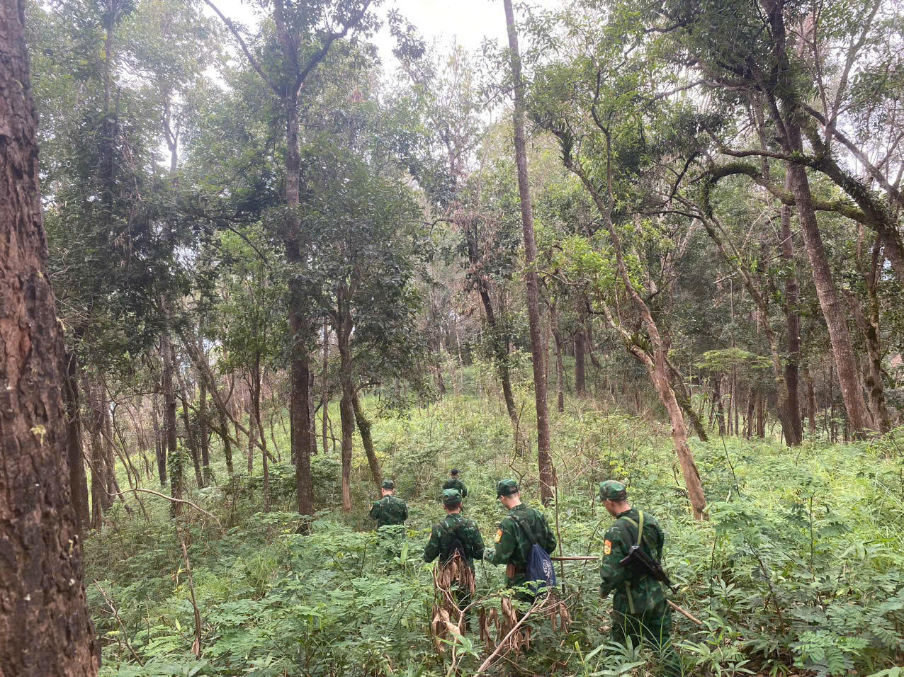 Cán bộ, chiến sĩ Đồn Biên phòng Nà Hỳ, tỉnh Điện Biên đang tuần tra cột mốc biên giới.