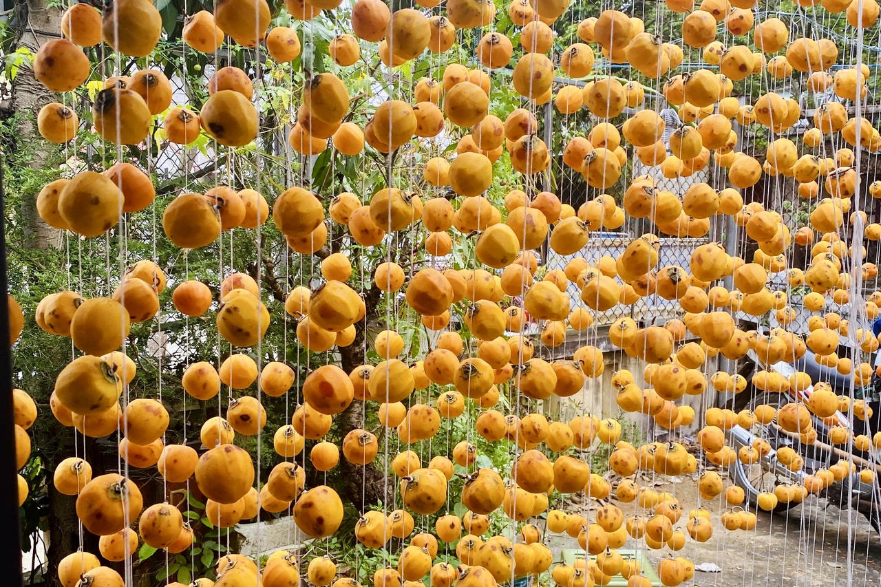 Mùa hồng treo gió tại Lạng Sơn. (Ảnh: Lê Hanh)