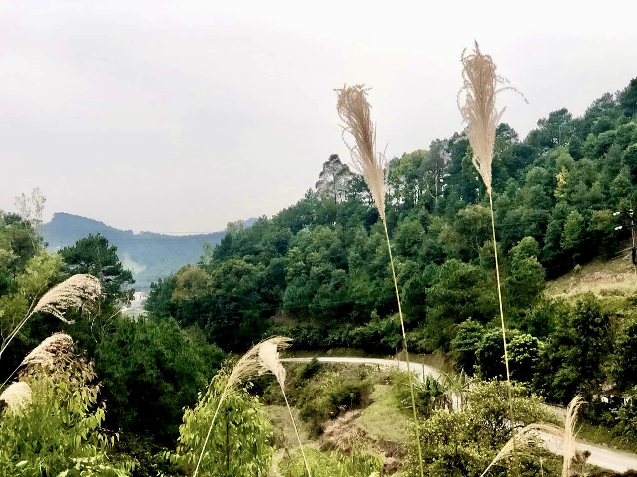 Những con đường uốn lượn dẫn tới đỉnh Mẫu Sơn. (Ảnh: Lê Hanh)