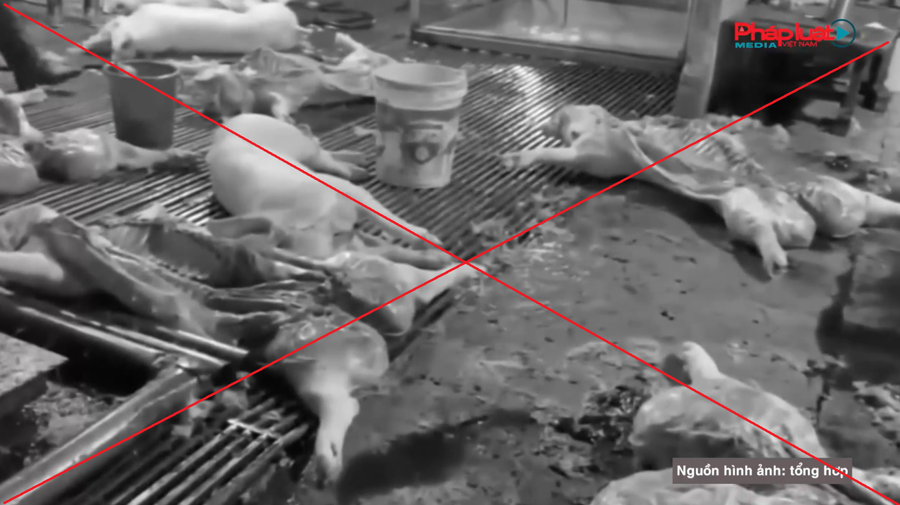 Cần quyết liệt trong ngăn chặn "thực phẩm bẩn" len lỏi vào học đường. (Ảnh minh hoạ)