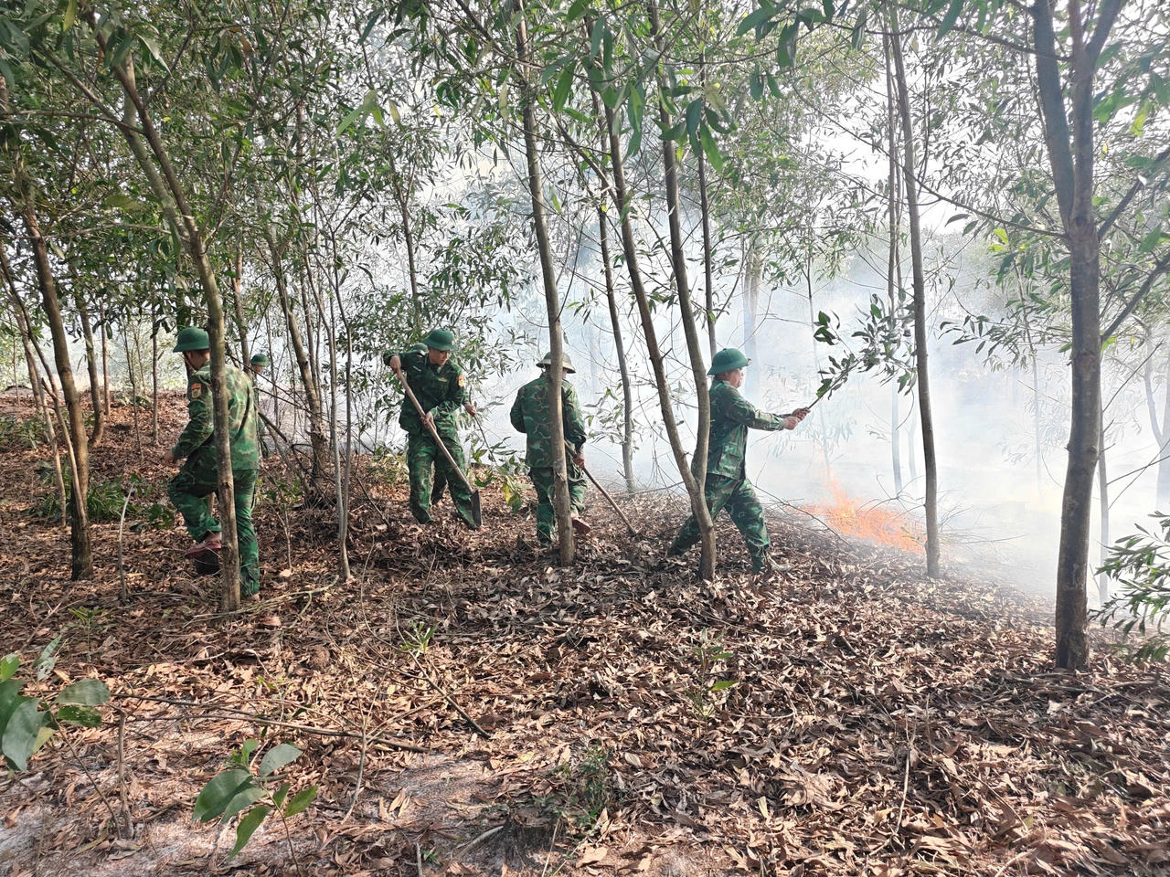 Bộ đội Biên phòng Quảng Trị kịp thời dập tắt cháy rừng, hạn chế thiệt hại