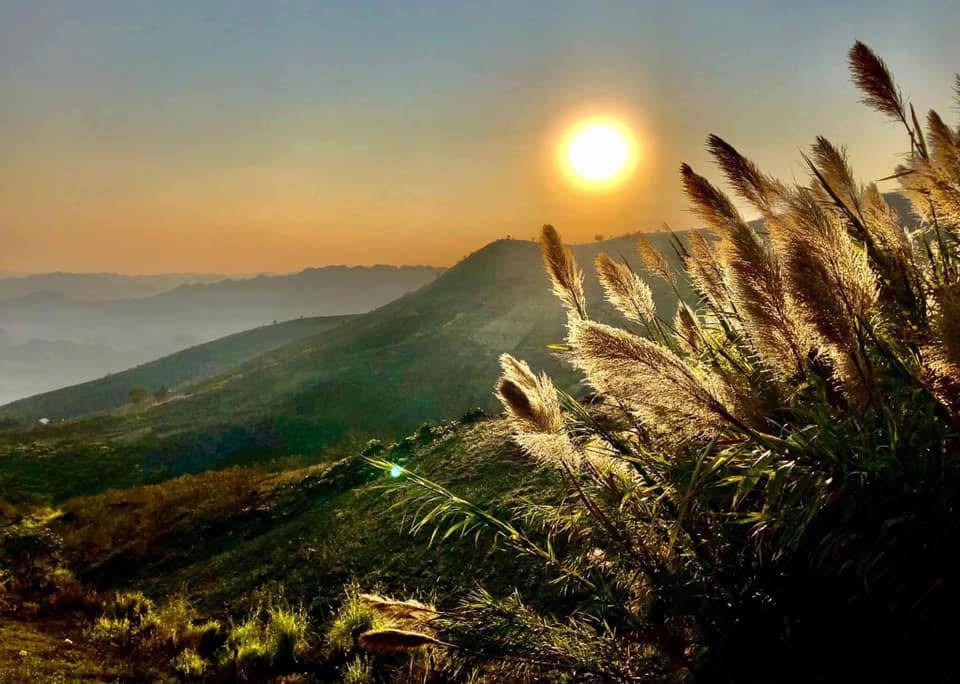 Mùa hoa lau trên những cung đường biên giới Lạng Sơn. (Ảnh: Lê Hanh)